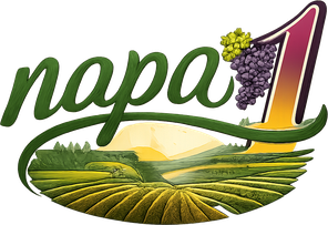 napa 1 লোগো